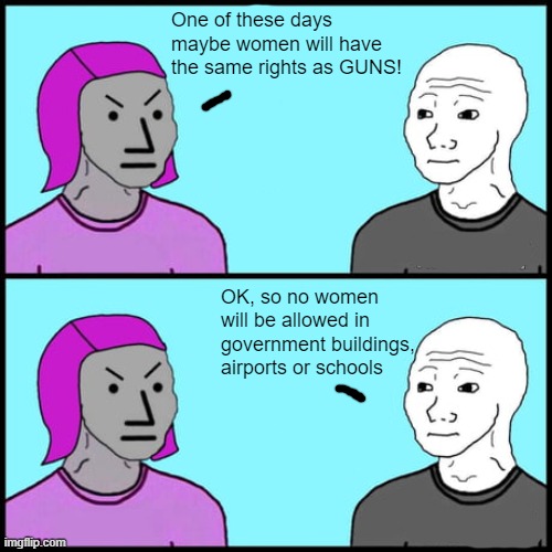 Guns can't vote | One of these days maybe women will have the same rights as GUNS! OK, so no women will be allowed in government buildings, airports or schools | made w/ Imgflip meme maker