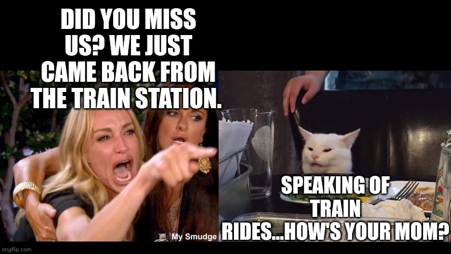 DID YOU MISS US? WE JUST CAME BACK FROM THE TRAIN STATION. SPEAKING OF TRAIN RIDES...HOW'S YOUR MOM? | image tagged in smudge the cat | made w/ Imgflip meme maker
