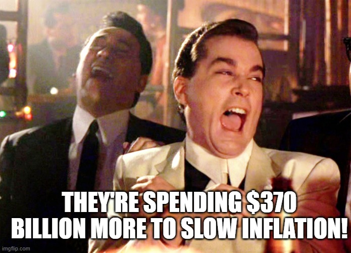 Good Fellas Hilarious | THEY'RE SPENDING $370 BILLION MORE TO SLOW INFLATION! | image tagged in memes,good fellas hilarious | made w/ Imgflip meme maker