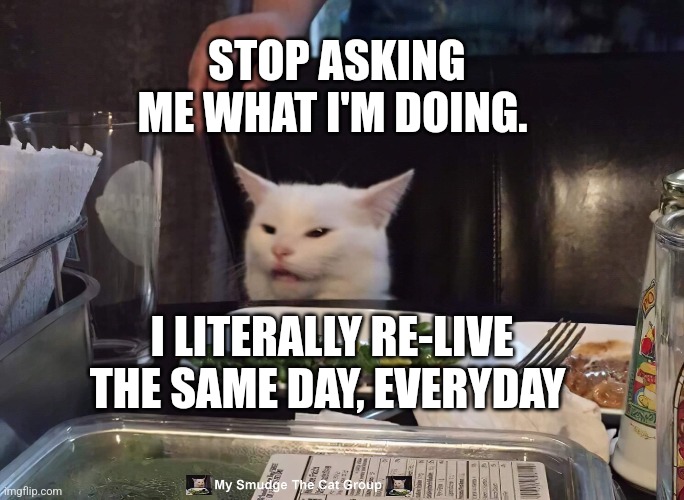 STOP ASKING ME WHAT I'M DOING. I LITERALLY RE-LIVE THE SAME DAY, EVERYDAY | image tagged in smudge the cat | made w/ Imgflip meme maker