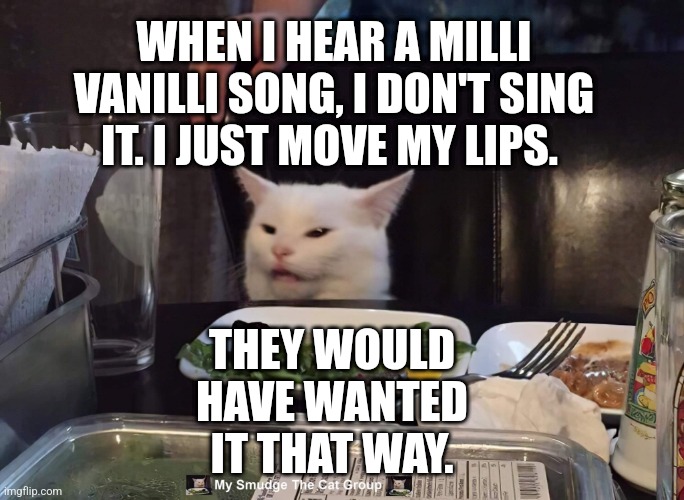 WHEN I HEAR A MILLI VANILLI SONG, I DON'T SING IT. I JUST MOVE MY LIPS. THEY WOULD HAVE WANTED IT THAT WAY. | image tagged in smudge the cat | made w/ Imgflip meme maker