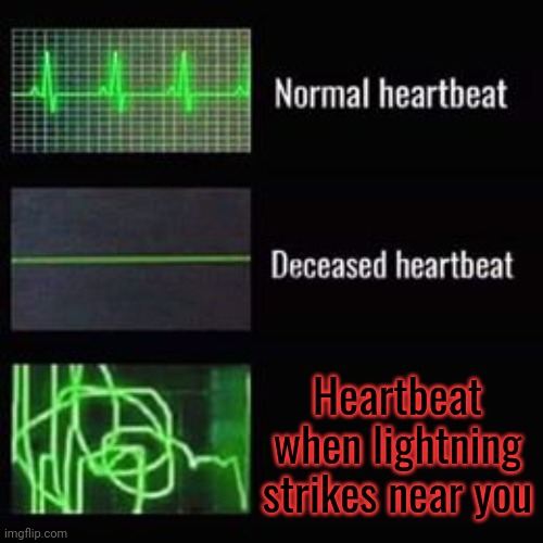 heartbeat rate | Heartbeat when lightning strikes near you | image tagged in heartbeat rate,funny | made w/ Imgflip meme maker