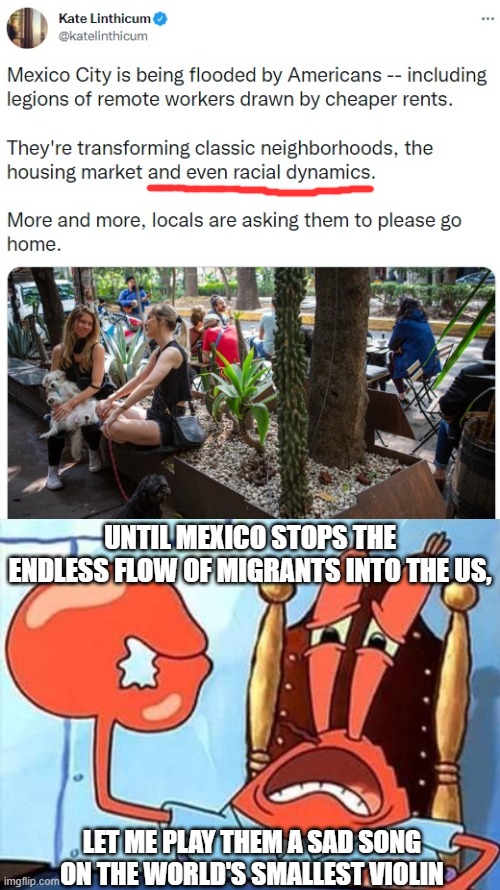 Mexico gets a taste of diversity... | UNTIL MEXICO STOPS THE ENDLESS FLOW OF MIGRANTS INTO THE US, LET ME PLAY THEM A SAD SONG ON THE WORLD'S SMALLEST VIOLIN | image tagged in memes,immigration,mexico,americans,city,mr krabs | made w/ Imgflip meme maker