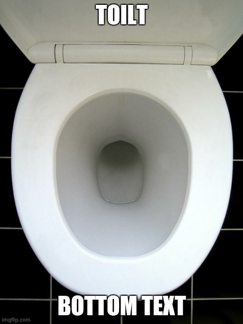 TOILET | TOILT BOTTOM TEXT | image tagged in toilet | made w/ Imgflip meme maker