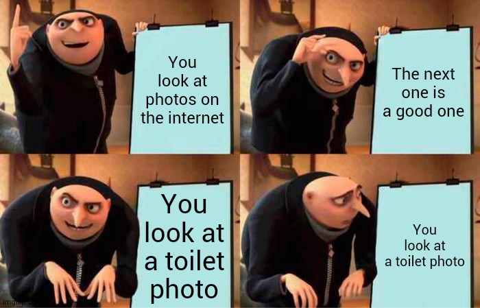 Gru's Plan Meme | You look at photos on the internet The next one is a good one You look at a toilet photo You look at a toilet photo | image tagged in memes,gru's plan | made w/ Imgflip meme maker