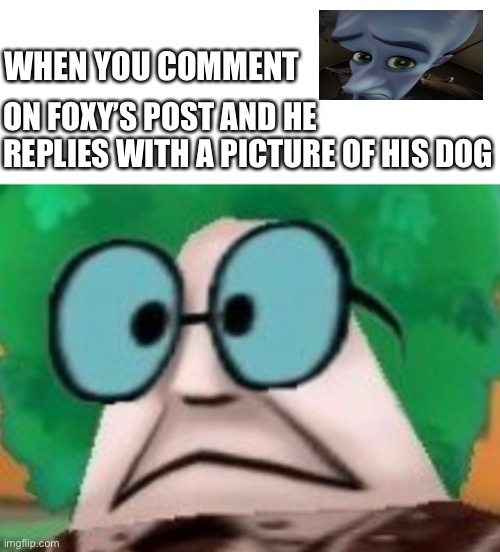 WHAT EXACTLY ARE YOU IMPLYING | WHEN YOU COMMENT; ON FOXY’S POST AND HE REPLIES WITH A PICTURE OF HIS DOG | made w/ Imgflip meme maker