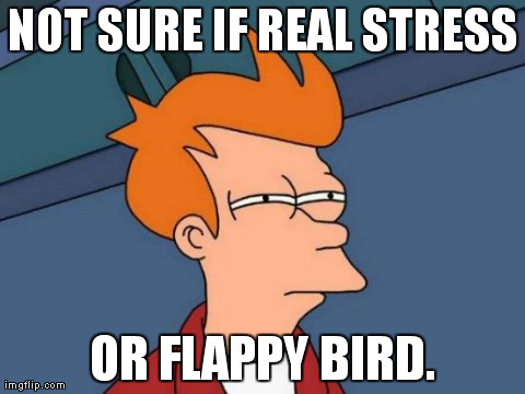 Futurama Fry | NOT SURE IF REAL STRESS OR FLAPPY BIRD. | image tagged in memes,futurama fry | made w/ Imgflip meme maker