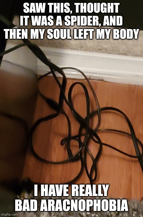 Help, I lost my soul again | SAW THIS, THOUGHT IT WAS A SPIDER, AND THEN MY SOUL LEFT MY BODY; I HAVE REALLY BAD ARACNOPHOBIA | image tagged in help me | made w/ Imgflip meme maker