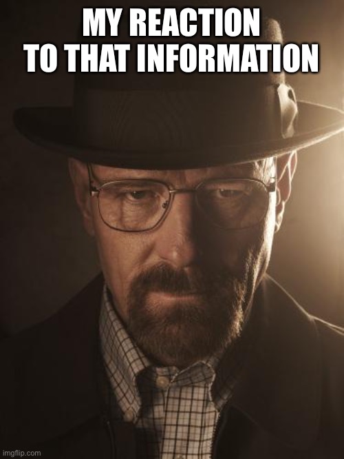 Walter White | MY REACTION TO THAT INFORMATION | image tagged in walter white | made w/ Imgflip meme maker