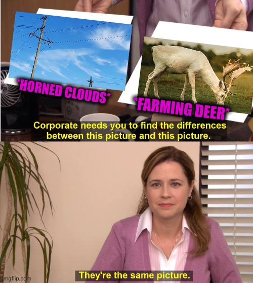 -Eating moss. | *HORNED CLOUDS*; *FARMING DEER* | image tagged in memes,they're the same picture,whitetail deer,horns,clouds,totally looks like | made w/ Imgflip meme maker