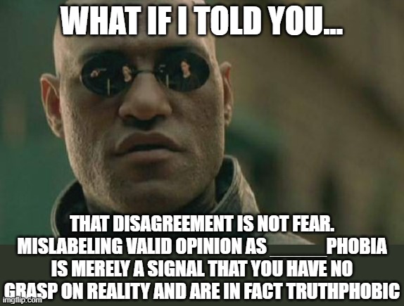 Never met a single person who is truly "homophobic" or "transphobic". | WHAT IF I TOLD YOU... THAT DISAGREEMENT IS NOT FEAR.
MISLABELING VALID OPINION AS _____PHOBIA IS MERELY A SIGNAL THAT YOU HAVE NO GRASP ON REALITY AND ARE IN FACT TRUTHPHOBIC | image tagged in memes,matrix morpheus | made w/ Imgflip meme maker