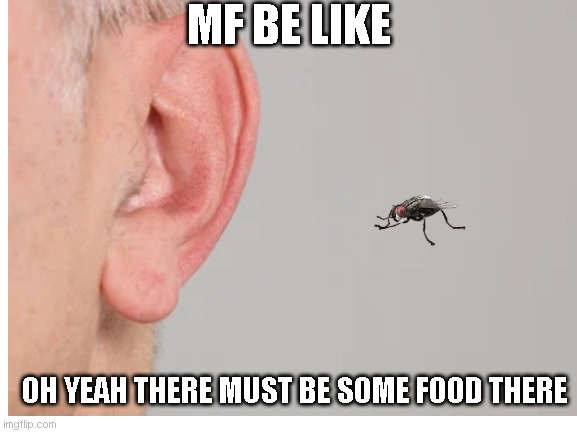 MF BE LIKE; OH YEAH THERE MUST BE SOME FOOD THERE | image tagged in memes,meme,fun,funny,relatable,funny memes | made w/ Imgflip meme maker