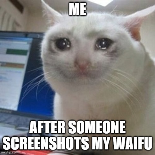 Cat Crying Because You Screenshot Her Waifu | ME; AFTER SOMEONE SCREENSHOTS MY WAIFU | image tagged in crying cat | made w/ Imgflip meme maker