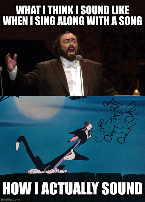 WHAT I THINK I SOUND LIKE WHEN I SING ALONG WITH A SONG; HOW I ACTUALLY SOUND | image tagged in pavarotti | made w/ Imgflip meme maker