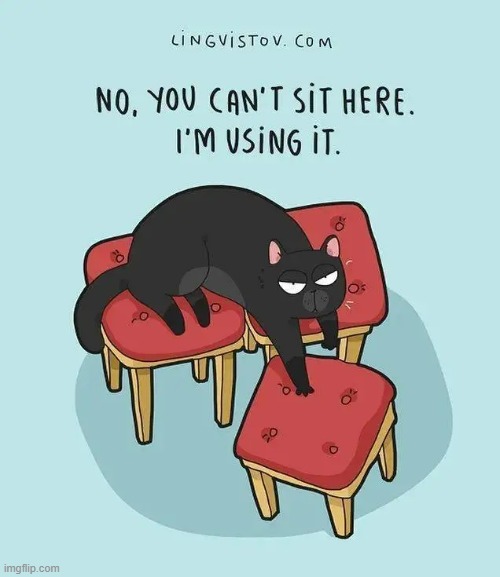 A Cat's Way Of Thinking | image tagged in memes,cats,no you cant just,sit down,thats why im here,comics | made w/ Imgflip meme maker