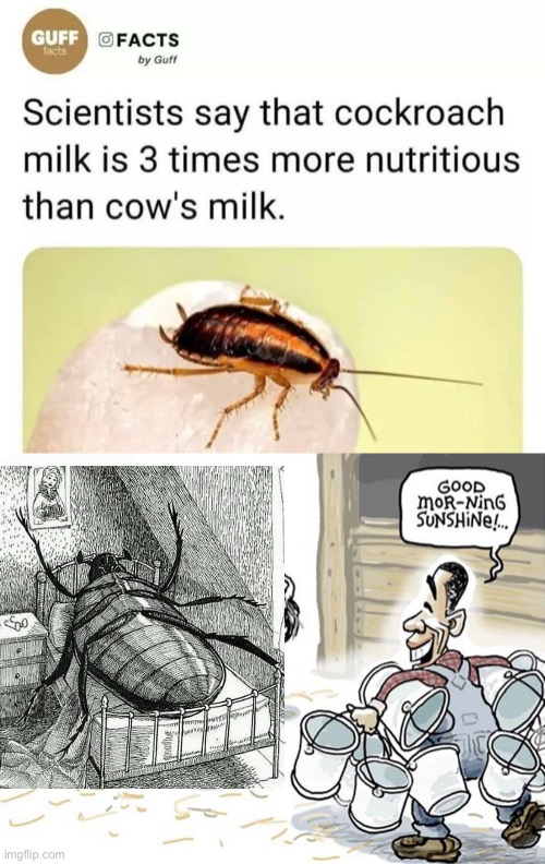 image tagged in milking the cow | made w/ Imgflip meme maker