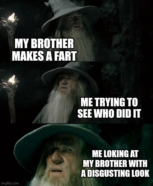 Hey!!  im back making usless mems that will only get 2 views | MY BROTHER MAKES A FART; ME TRYING TO SEE WHO DID IT; ME LOKING AT MY BROTHER WITH A DISGUSTING LOOK | image tagged in memes,confused gandalf | made w/ Imgflip meme maker