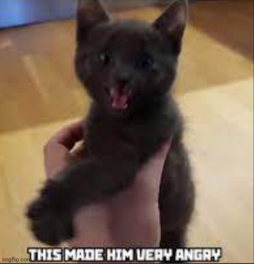 Angry artyom (life of Boris cat) | image tagged in angry artyom life of boris cat | made w/ Imgflip meme maker