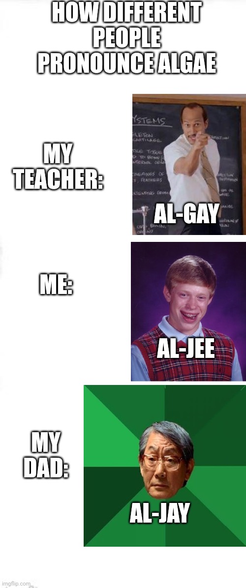 Algae | HOW DIFFERENT PEOPLE PRONOUNCE ALGAE; MY TEACHER:; AL-GAY; ME:; AL-JEE; MY DAD:; AL-JAY | image tagged in long blank white square,idk | made w/ Imgflip meme maker