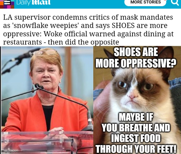 Woke LA Supervisor Calls Shoes More Oppressive Than Masks | SHOES ARE MORE OPPRESSIVE? MAYBE IF YOU BREATHE AND INGEST FOOD THROUGH YOUR FEET! | image tagged in grumpy cat,woke,los angeles,shoes,oppression,masks | made w/ Imgflip meme maker