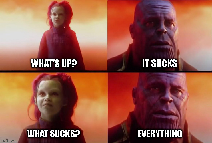Everything sucks |  WHAT'S UP? IT SUCKS; WHAT SUCKS? EVERYTHING | image tagged in thanos what did it cost,life sucks | made w/ Imgflip meme maker