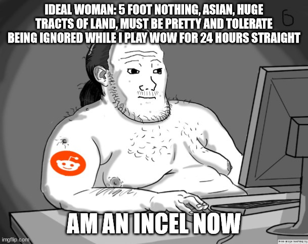 Incels complaining about never getting laid | IDEAL WOMAN: 5 FOOT NOTHING, ASIAN, HUGE TRACTS OF LAND, MUST BE PRETTY AND TOLERATE BEING IGNORED WHILE I PLAY WOW FOR 24 HOURS STRAIGHT; AM AN INCEL NOW | image tagged in average redditor,incel,creepy guy | made w/ Imgflip meme maker