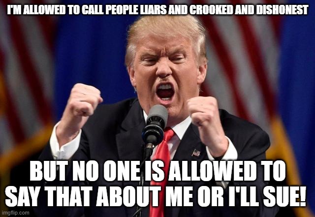 Angry Trump | I'M ALLOWED TO CALL PEOPLE LIARS AND CROOKED AND DISHONEST; BUT NO ONE IS ALLOWED TO SAY THAT ABOUT ME OR I'LL SUE! | image tagged in angry trump | made w/ Imgflip meme maker