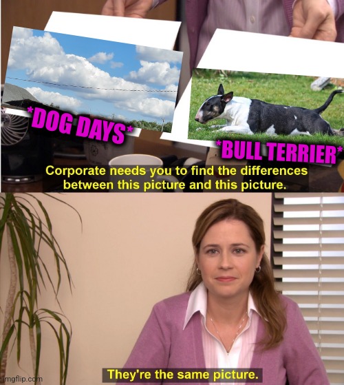 -Breeding skies. | *DOG DAYS*; *BULL TERRIER* | image tagged in memes,they're the same picture,dad joke dog,sky,cloud,totally looks like | made w/ Imgflip meme maker