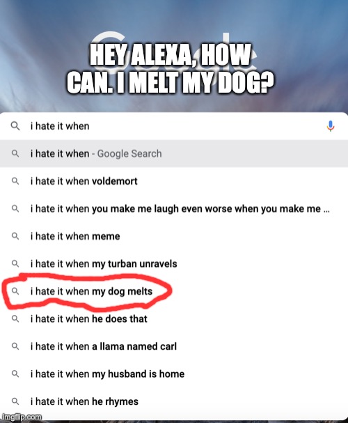 Comment to make me smile | HEY ALEXA, HOW CAN. I MELT MY DOG? | image tagged in dogs,alexa | made w/ Imgflip meme maker