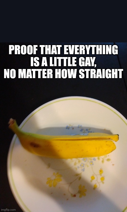 PROOF THAT EVERYTHING IS A LITTLE GAY, NO MATTER HOW STRAIGHT | made w/ Imgflip meme maker
