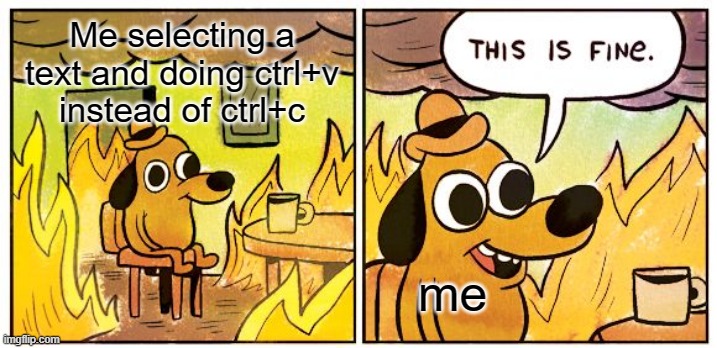 Komputer hacks | Me selecting a text and doing ctrl+v instead of ctrl+c; me | image tagged in memes,this is fine | made w/ Imgflip meme maker