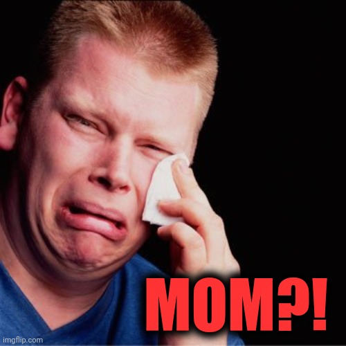 Crying boy | MOM?! | image tagged in crying boy | made w/ Imgflip meme maker