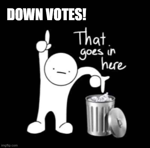 No Down Voting! | DOWN VOTES! | image tagged in that goes in here,humor,memes,funny memes,so true memes,lol so funny | made w/ Imgflip meme maker