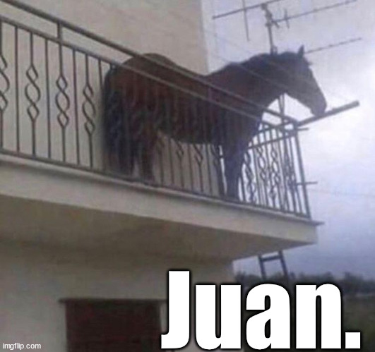 Juan | Juan. | image tagged in juan | made w/ Imgflip meme maker