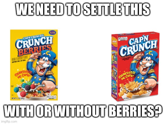 Cap’n Crunch debate here | WE NEED TO SETTLE THIS; WITH OR WITHOUT BERRIES? | image tagged in cereal | made w/ Imgflip meme maker