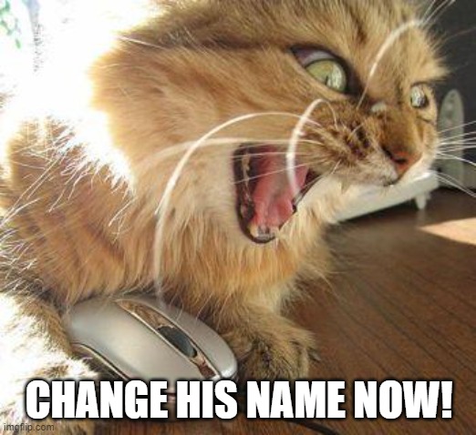 angry cat | CHANGE HIS NAME NOW! | image tagged in angry cat | made w/ Imgflip meme maker