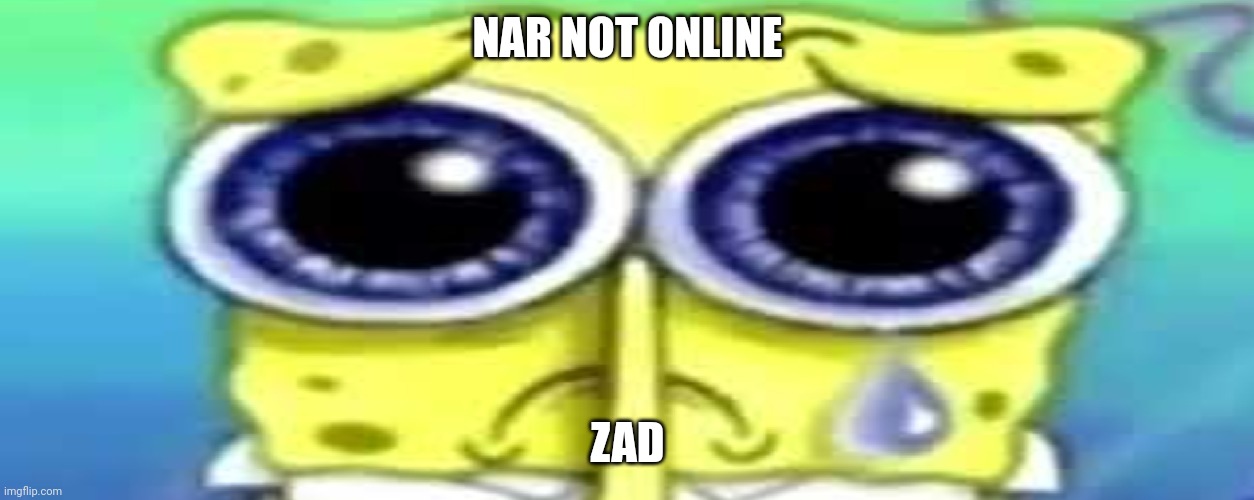 Sad Spong | NAR NOT ONLINE; ZAD | image tagged in sad spong,very zad | made w/ Imgflip meme maker