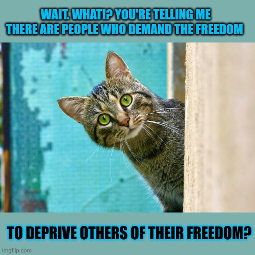 This #lolcat wonders why anyone would like the freedom to deprive others of theirs | WAIT. WHAT!? YOU'RE TELLING ME
THERE ARE PEOPLE WHO DEMAND THE FREEDOM; TO DEPRIVE OTHERS OF THEIR FREEDOM? | image tagged in lolcat,freedom,think about it,selfish | made w/ Imgflip meme maker