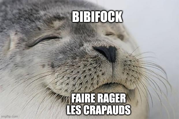 Satisfied Seal | BIBIFOCK; FAIRE RAGER LES CRAPAUDS | image tagged in satisfied seal | made w/ Imgflip meme maker