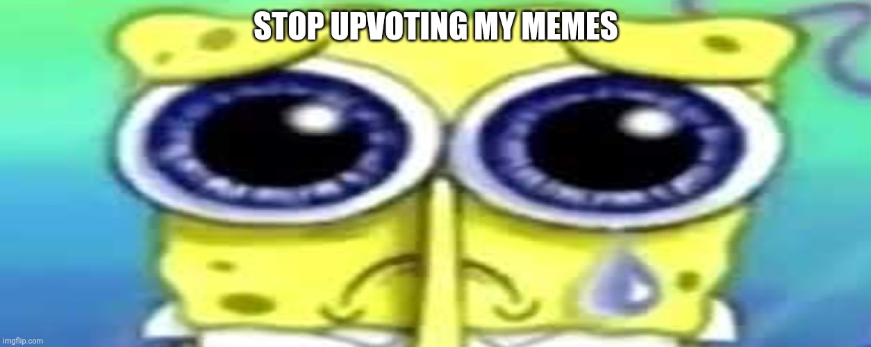 Sad Spong | STOP UPVOTING MY MEMES | image tagged in sad spong | made w/ Imgflip meme maker