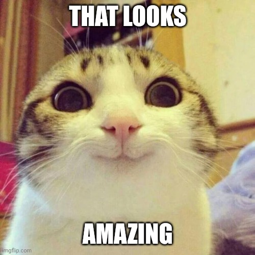 Smiling Cat Meme | THAT LOOKS AMAZING | image tagged in memes,smiling cat | made w/ Imgflip meme maker