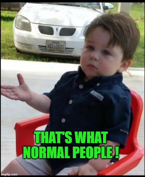 Questioning kid | THAT'S WHAT NORMAL PEOPLE ! | image tagged in questioning kid | made w/ Imgflip meme maker