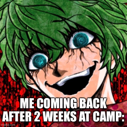 What did I miss | ME COMING BACK AFTER 2 WEEKS AT CAMP: | made w/ Imgflip meme maker