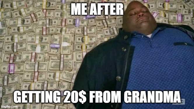 Money | ME AFTER; GETTING 20$ FROM GRANDMA | image tagged in huell money,lol,money,grandma | made w/ Imgflip meme maker