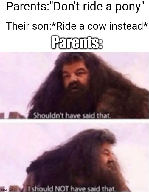 Goofy ahh title | Parents:"Don't ride a pony"; Their son:*Ride a cow instead*; Parents: | image tagged in blank white template,shouldn't have said that,memes,funny memes,funny,fun | made w/ Imgflip meme maker