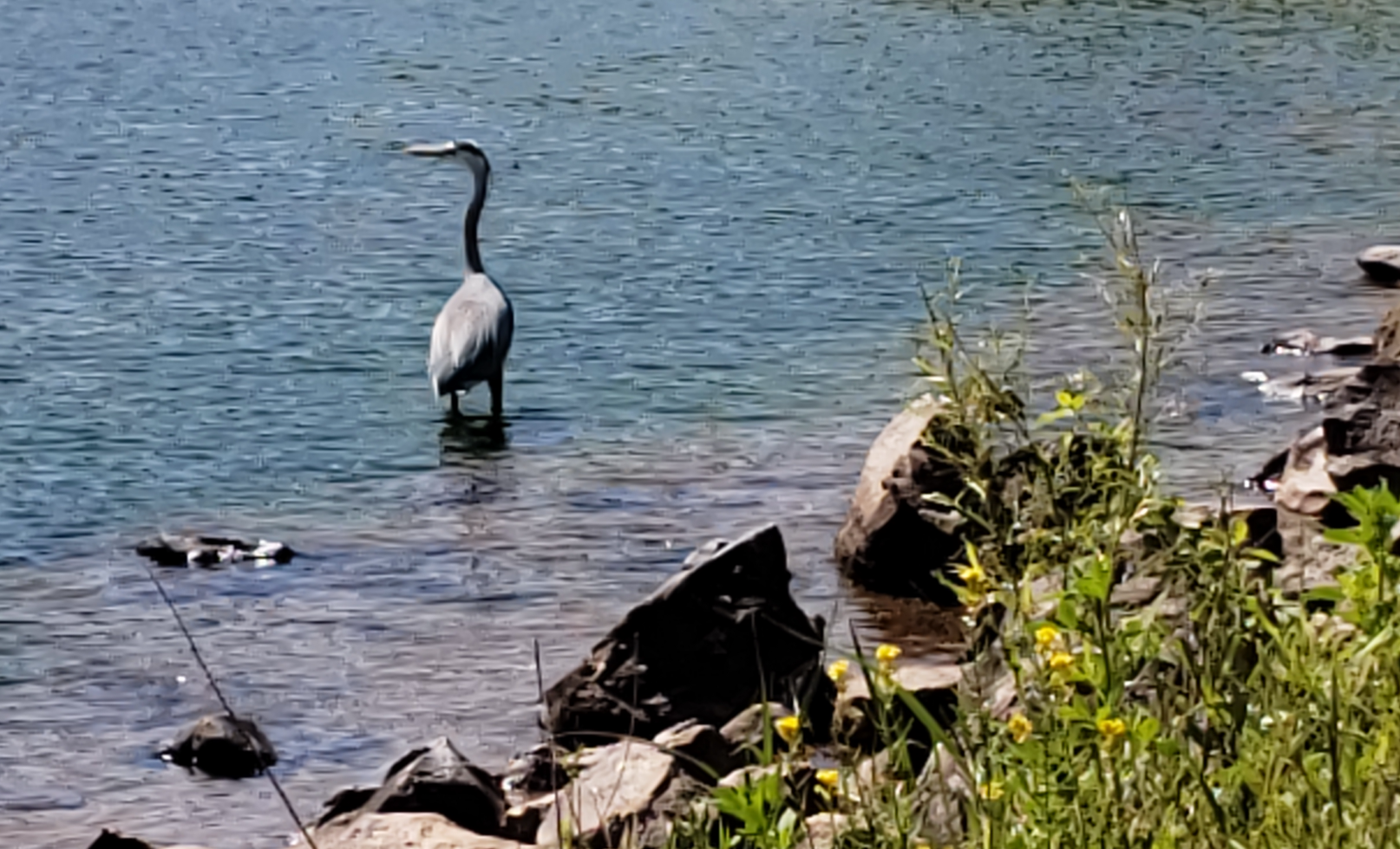 Crane Lake Blank Meme Template