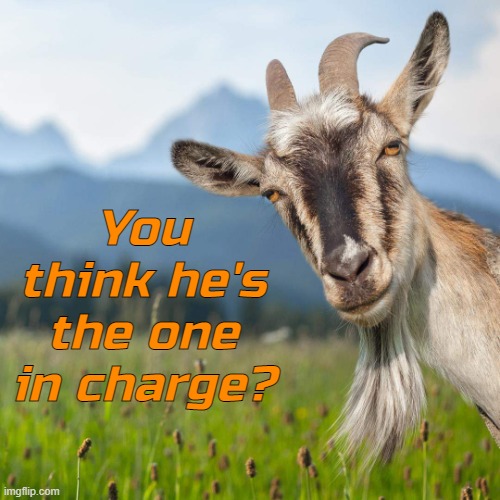 creepy condescending goat | You think he's the one in charge? | image tagged in creepy condescending goat | made w/ Imgflip meme maker