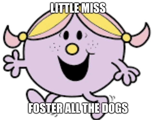 Little miss | LITTLE MISS; FOSTER ALL THE DOGS | image tagged in little miss | made w/ Imgflip meme maker