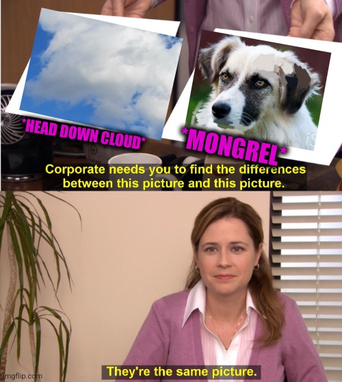 -Street walkers. | *MONGREL*; *HEAD DOWN CLOUD* | image tagged in memes,they're the same picture,unacceptable lemongrab,dogs pets funny,totally looks like,street signs | made w/ Imgflip meme maker