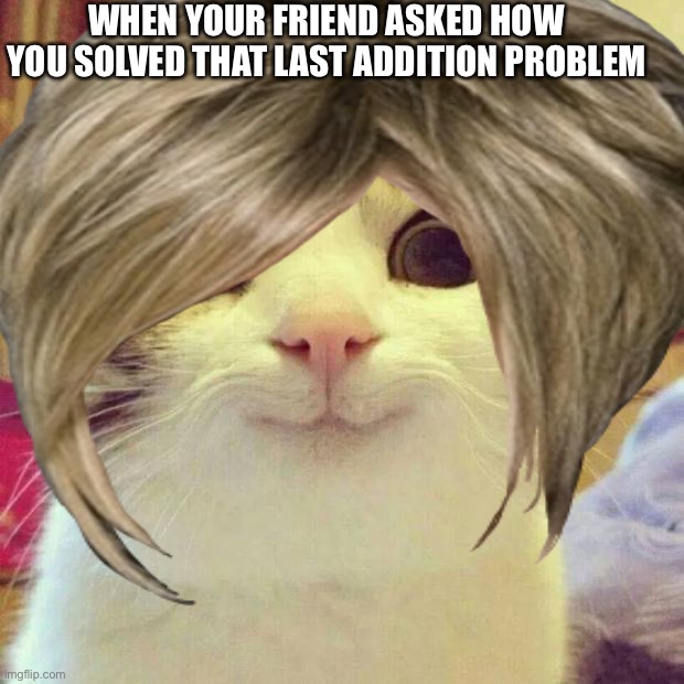 Smart cat | WHEN YOUR FRIEND ASKED HOW YOU SOLVED THAT LAST ADDITION PROBLEM | image tagged in smudge the cat | made w/ Imgflip meme maker